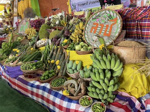 ภาพพืชผักสวนครัวที่ใช้จัดนิทรรศการ เช่น กล้วย มะละกอ พริก มะนาว มะเขือ บวบ ฯลฯ